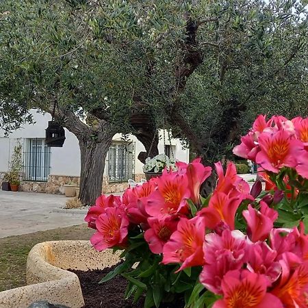 Apartments In Villa Isabel Altafulla Εξωτερικό φωτογραφία