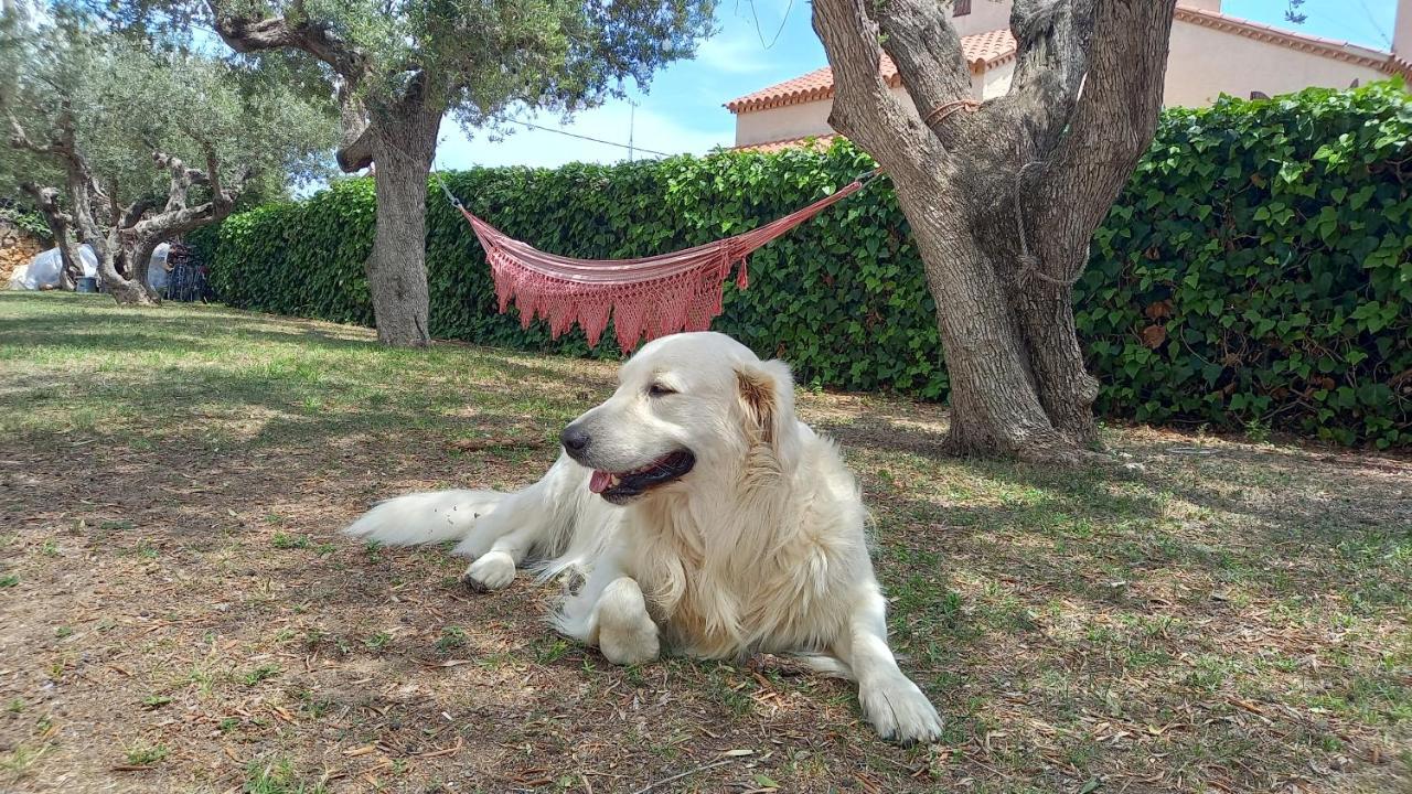 Apartments In Villa Isabel Altafulla Εξωτερικό φωτογραφία